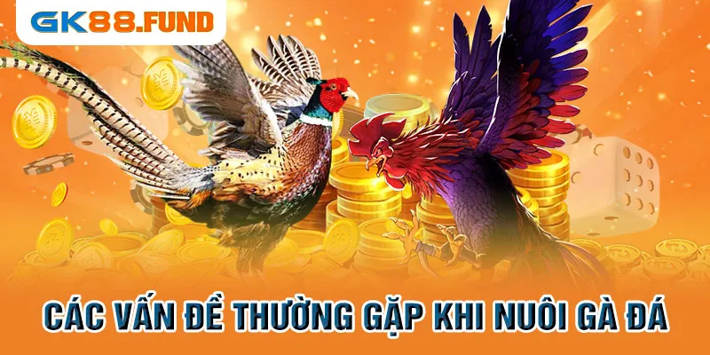 cac-van-de-thuong-gap-khi-nuoi-ga-da