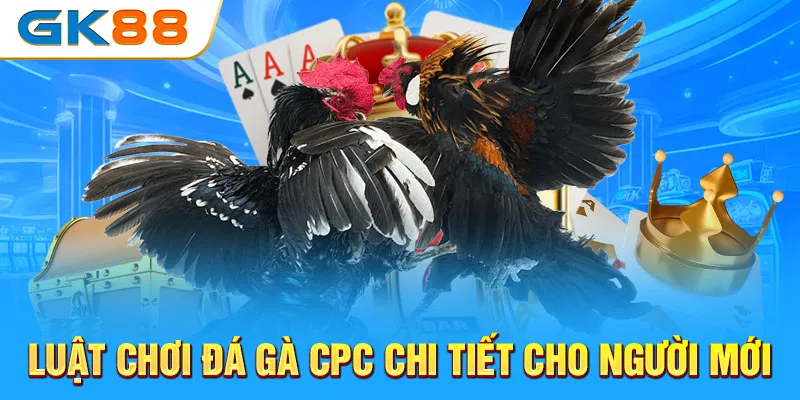 luat-choi-da-ga-cpc-chi-tiet-cho-nguoi-moi